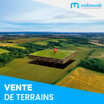 TERRAIN SANA