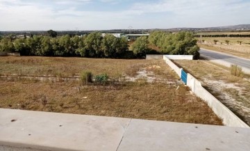 TERRAIN BOCHRA