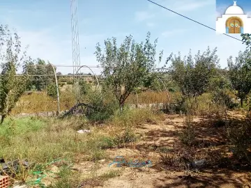TERRAIN DELL