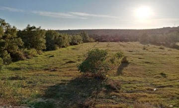 TERRAIN NEHED