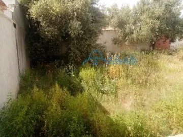 TERRAIN MOHJA