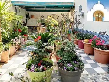 VILLA EL MNARA